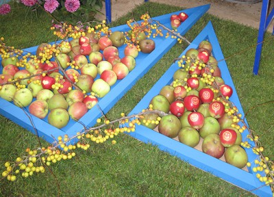 Obstaufbau IGA Berlin 2017