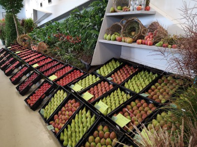 Buga 2021 Äpfel und Birnen vom Obstgut Triebe