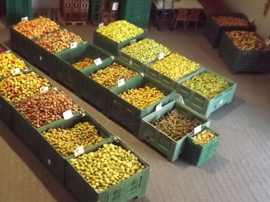 Blick in den Hofladen