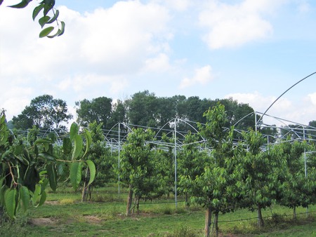 weitläufige Anbauflächen