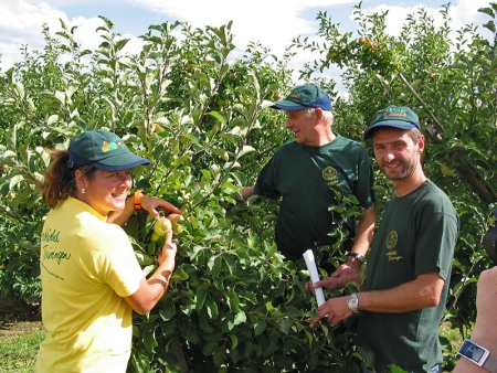 Lars und Elfi Triebe bei der Apfelernte