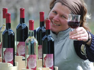 der Elfenbergwein des Obstguts Triebe der Elfenbergwein des Obstguts Triebe